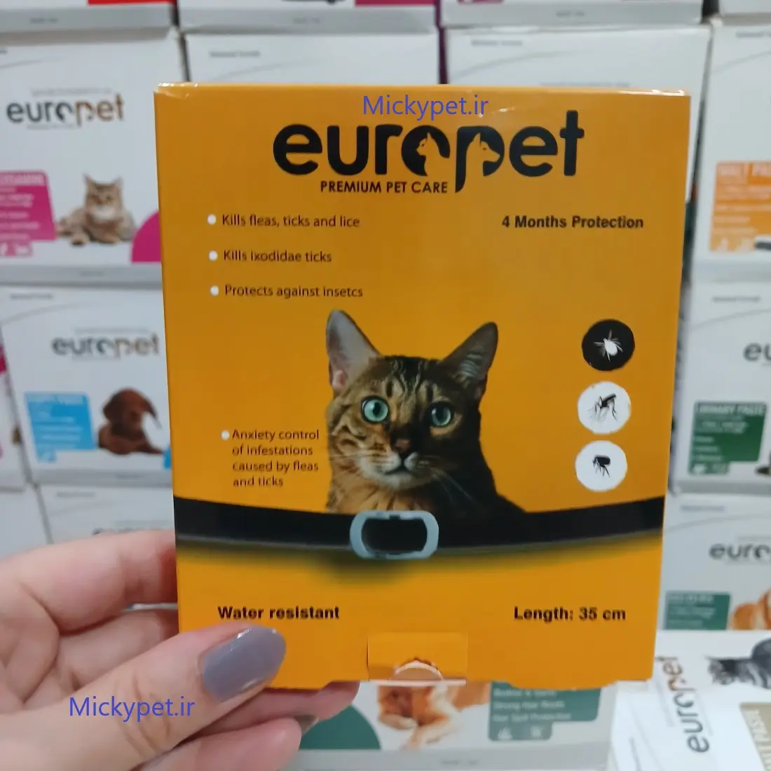 Europet-Collar-Cat